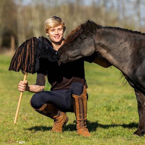 Hobby Horse Nalanta - QHP - Pelage doux et crini&egrave;re &agrave; coiffer