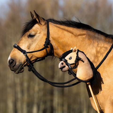 Licol en Corde Nalanta pour Hobby Horse - QHP