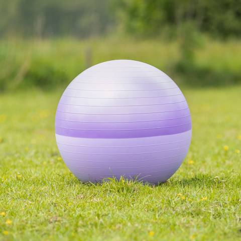 Ballon Bi-Colore pour Chevaux - QHP - PVC Haute R&eacute;sistance