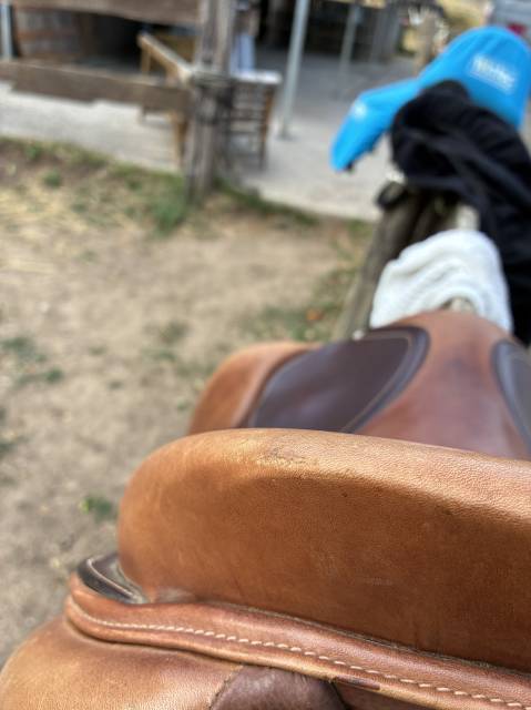 Selle éric thomas hybrid fitter jump