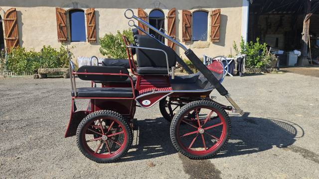 Voiture hippomobile - marathon training