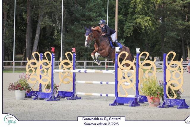 Cheval kannan x papillon rouge 