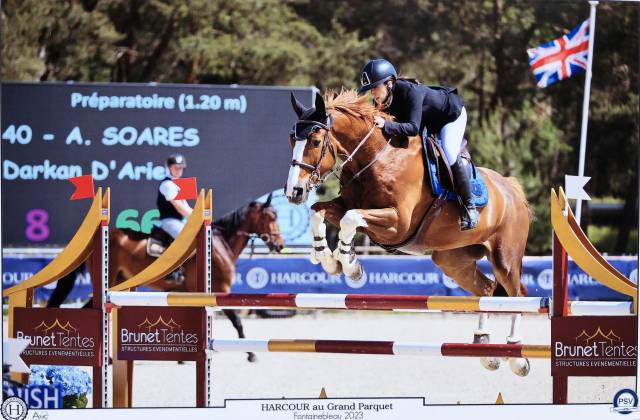 Cheval kannan x papillon rouge 