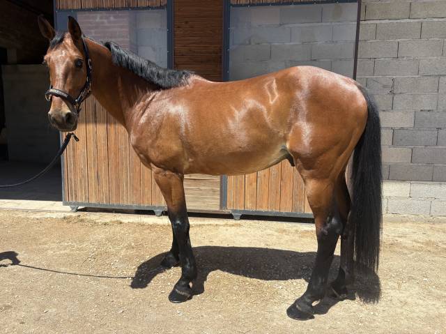 Ethna de soulac 12 ans