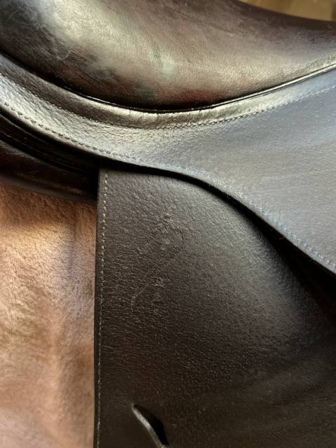 Selle Antar&egrave;s Confort obstacle / mixte Havane Т.17P Ann