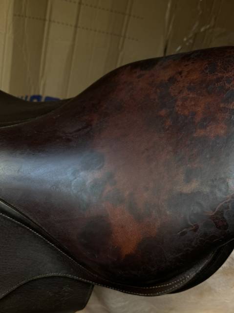 Selle Antar&egrave;s Confort obstacle / mixte Havane Т.17P Ann