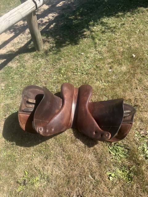 Selle equinoxe taille 17,5