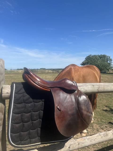 Selle delgrange 17,5