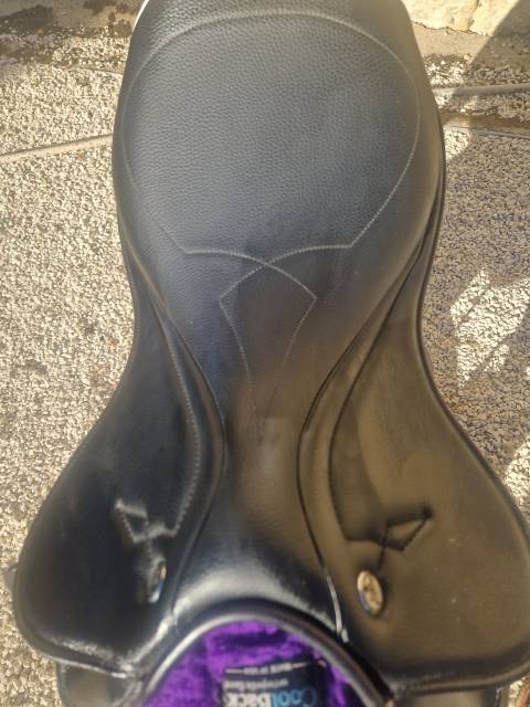 Selle Prestige D&eacute;sert Light Endurance 17" (2024)