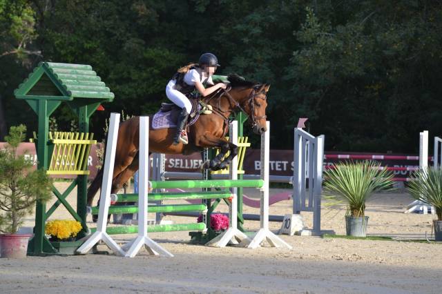 Poney polyvalent 5 ans cce, cso