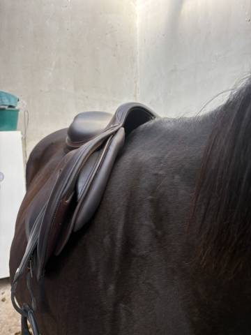 Selle jump&rsquo;in Premium (contact&eacute;e moi par sms)