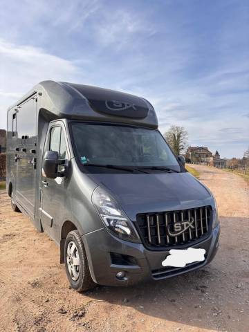 Camion chevaux movano 