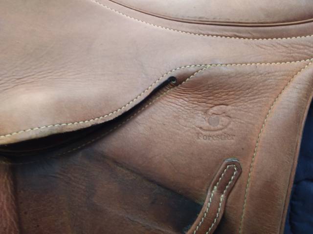 Selle Forestier Segonzac