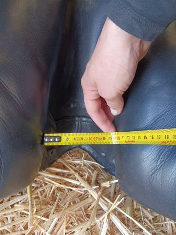 Selle de dressage : Frank Baines - Elegance
