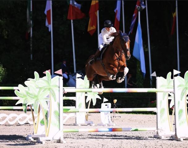 Top cheval d’expérience 140-145 pour amateurs