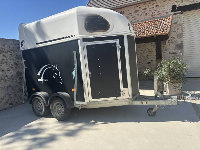 Van gold  cheval liberte