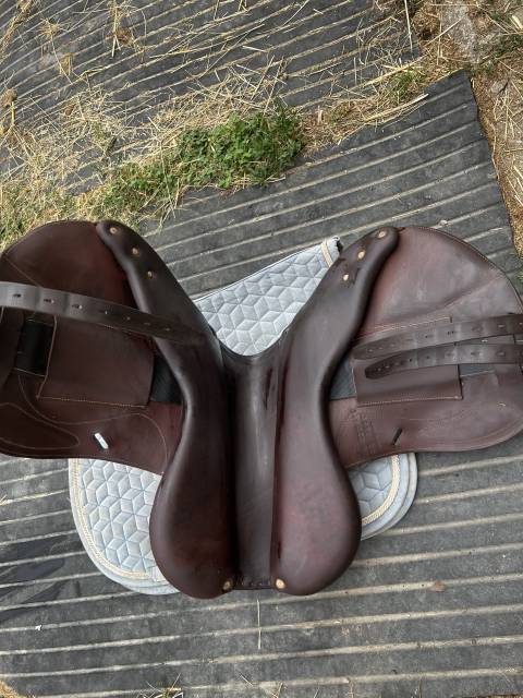 Selle Antares 