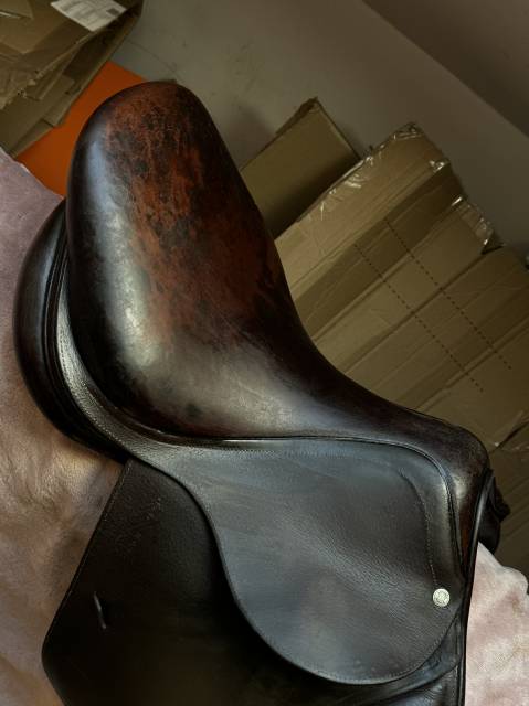 Selle Antar&egrave;s Confort obstacle / mixte Havane Т.17P Ann
