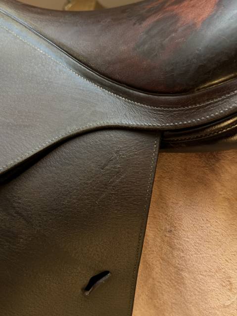 Selle Antar&egrave;s Confort obstacle / mixte Havane Т.17P Ann
