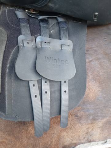 Selle wintec 500 17 pouces