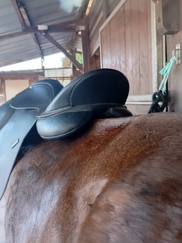 Selle wintec 500 17 pouces