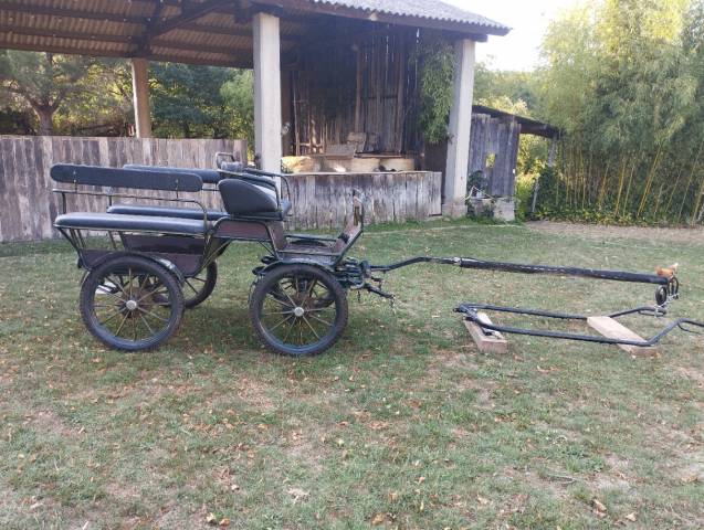 Calèche de loisir 4 roues pour 6 personnes