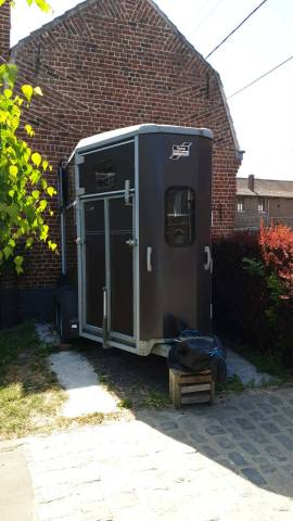 Van ifor williams hb506 2 chevaux