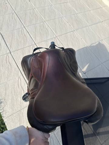 Selle Devoucoux Biarritz Lab taille 17