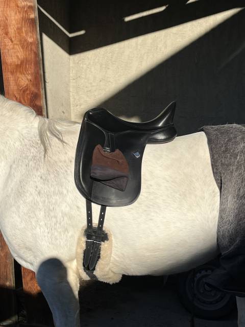 Salle dressage Bates Wide