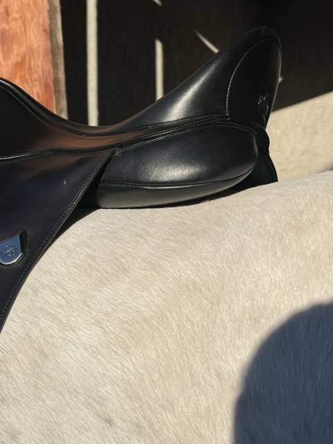Salle dressage Bates Wide