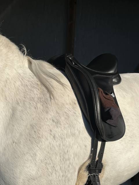 Salle dressage Bates Wide