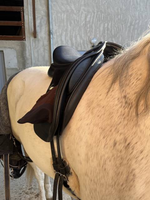 Salle dressage Bates Wide