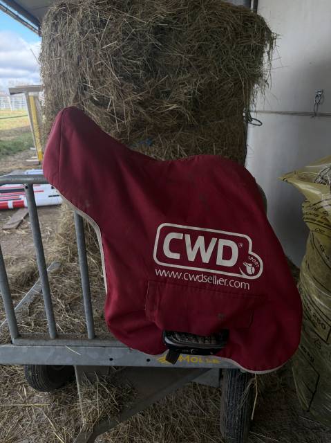 Selle CWD