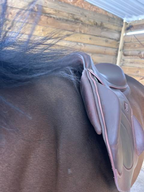 Selle Devoucoux Chiberta O 