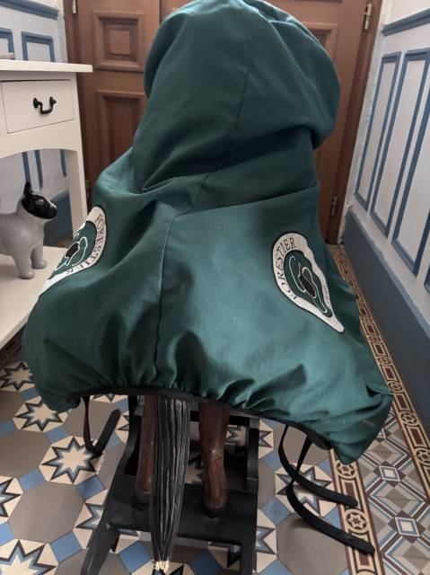 Selle dressage Forestier Aachen 17'