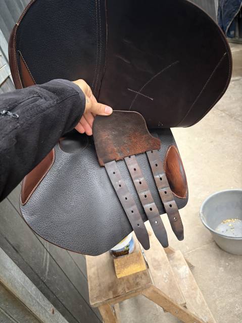 Selle Arion taille 17