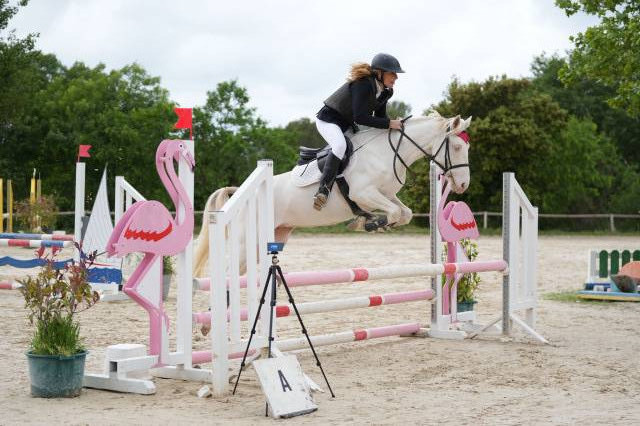 Magnifique ponette crème connemara 5 ans cso