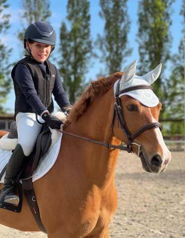 Hongre british spotted pony a vendre 2015 alezan