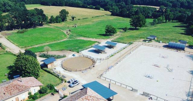 Pension écurie active dans l'ain