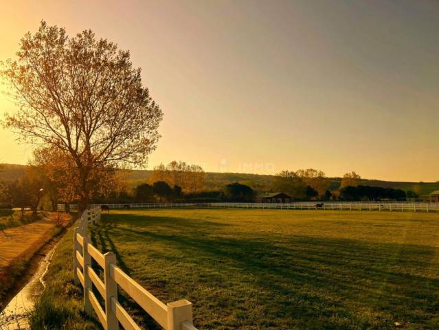 Domaine equestre en activité