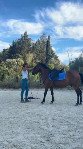 à vendre – boneca, ponette de 4 ans – 2 500 €