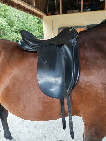 Selle euroriding Diamant 17.5