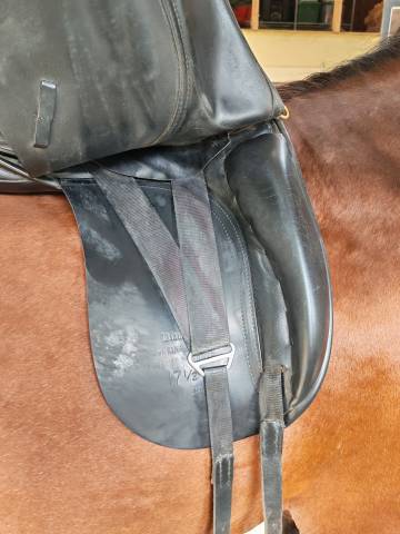 Selle euroriding Diamant 17.5