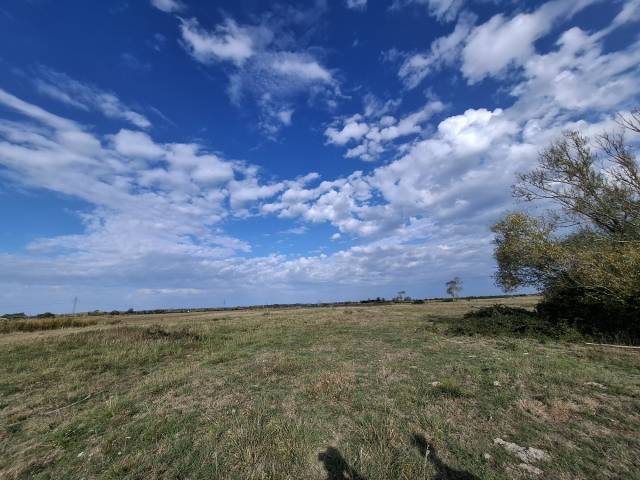 Domaine de 4,7 hectares à notre-dame-de-monts