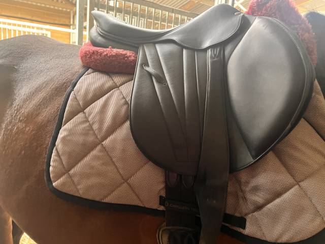 Selle 17,5 buter plate noire