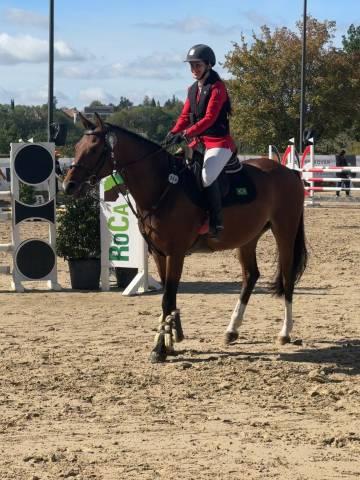 Magnifique 4 ans par cornet's prinz