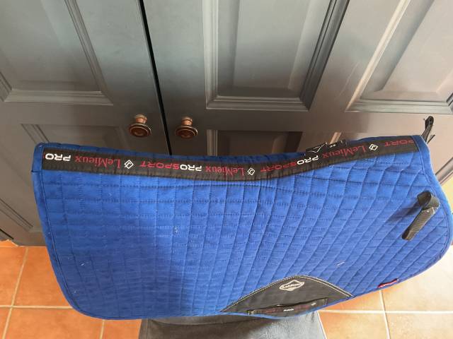 Tapis Lemieux 