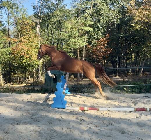 Néo, 3,5 ans