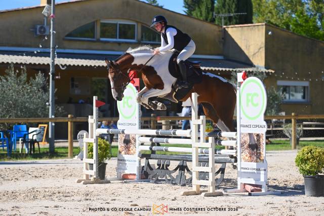 Cheval de sport pie sf