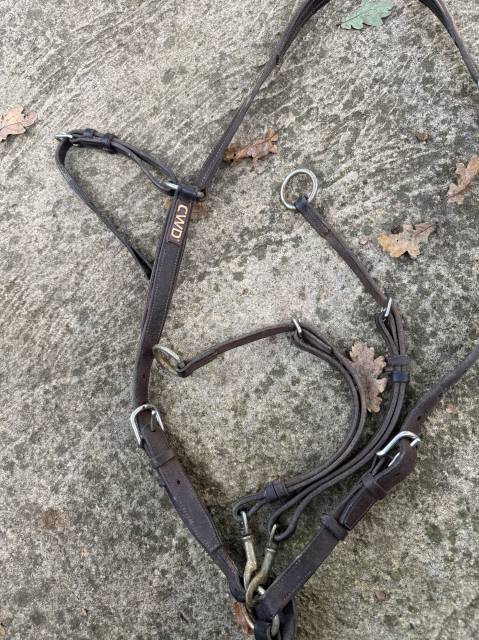 Collier de chasse + martingale CWD